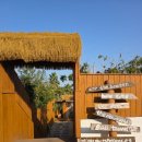 코코넛제주 | 제주 애월 풀빌라 숙소 찾는다면? 코코넛 제주 감성 숙소 후기