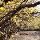 (주)나라아이엔씨 이미지