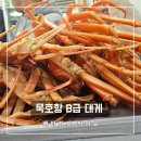 &lt;강원도 아이와 겨울여행&gt; 묵호항 B급대게 수산시장 시세, 주차, 상차림비
