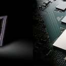 광포전자 이미지