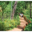 남명초등학교 담장  이미지