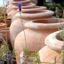 인준농장 이미지