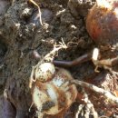 주암농장 이미지