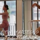 스트레칭발레(중급) 이미지