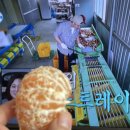 송보농장 이미지