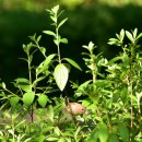 창동초등학교 이미지