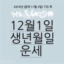 ♧12월 1일 목요일 간추린 아침뉴스 ♧ 이미지