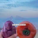 ​[강릉 맛집] 정남미명과 내돈내산 후기! 대파빵부터 단감빵까지, 구황작물 빵집 추천 🥖✨