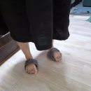 슬림바디 | [내돈내산]자세교정? 밸런스 슬림 바디 슬리퍼 착용 후기