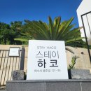 스테이하코