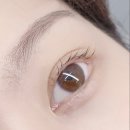 비비아트집 이미지