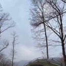 설매재자연휴양림 이미지