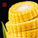 아삭톡톡 | 19브릭스 초당옥수수, 6월에 즐기는 달콤하고 아삭한 제철 간식 후기