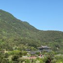 산청 전 구형왕릉 | 산청 가볼 만한 곳 동의보감촌