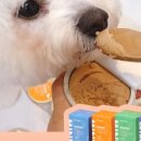 닥터펫푸드 이미지