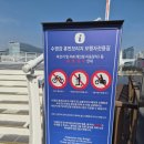 [부산 신상 랜드마크] 수영강 휴먼브릿지 따끈따끈한 방문 후기!!