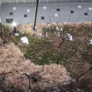 대지를 바라보며 이미지