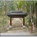 용연사 티스토리