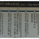 부흥고등학교 앞 횡단보도 이미지