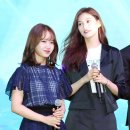 더 김도연 이미지