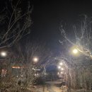 (저녁)퇴근 후 감성 통기타 | 경주 자쿠지 숙소 추천, 황리단길 근처 감성숙소 ‘우드인스테이’ 블루베리룸 숙박 후기