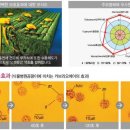 사과랑 고추랑 이미지