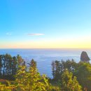 스테이 섬씽 울릉도 이미지