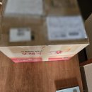 애드순주 | [ 일본 교환학생 :: D+7~8 ] 평범한 일상