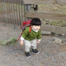 준우목장 이미지