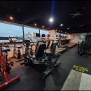 발리휘트니스 이미지