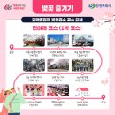 동의보감민박 | 2025 진해군항제 완벽 가이드와 주차 정보