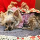 부일로518번길 이미지