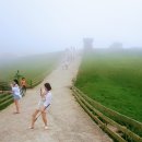 매형목장 이미지