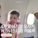 11305-2-115-1 | 4개월 아기랑 오사카 여행 :아시아나 비즈니스 바시넷/가격/이유식/우선탑승 (OZ115)