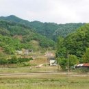 금지면 용전마을 이미지