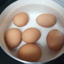 쉴만한 농원 이미지