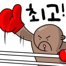 상록복싱체육관 이미지