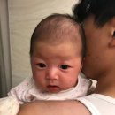 지오숲어린이집 | 2024년 5월 기록