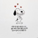 행복한 주말 보내세요❤️ 이미지