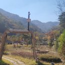 서운산 자연휴양림 자동차야영장 네이버블로그