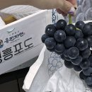 무지개빛농장 이미지