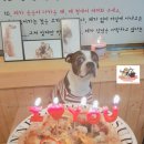왕눈이 카페 이미지