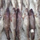 대구유통 이미지