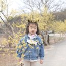 아이컷
