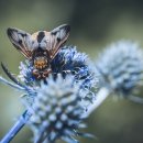 천상스크린골프 이미지