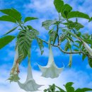 은성민박 이미지