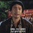큐리오 이미지
