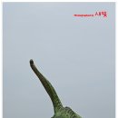 공룡박물관 Daum카페