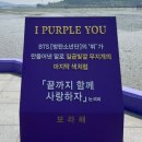 전남 신안 가볼만한곳 퍼플섬, 퍼플교 가족여행 후기(무료입장 꿀팁, 전동카트)