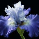 NK 골프클럽 | 경기도 남양주시 골프존파크 중곡 NK골프클럽, 가격, 후기, 주차